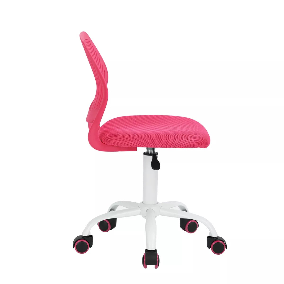 Silla Carnation